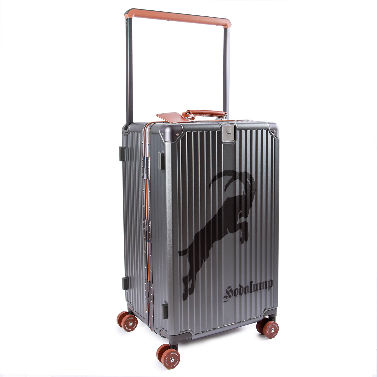 Hodalump Trolley Big Case, Ansicht 24