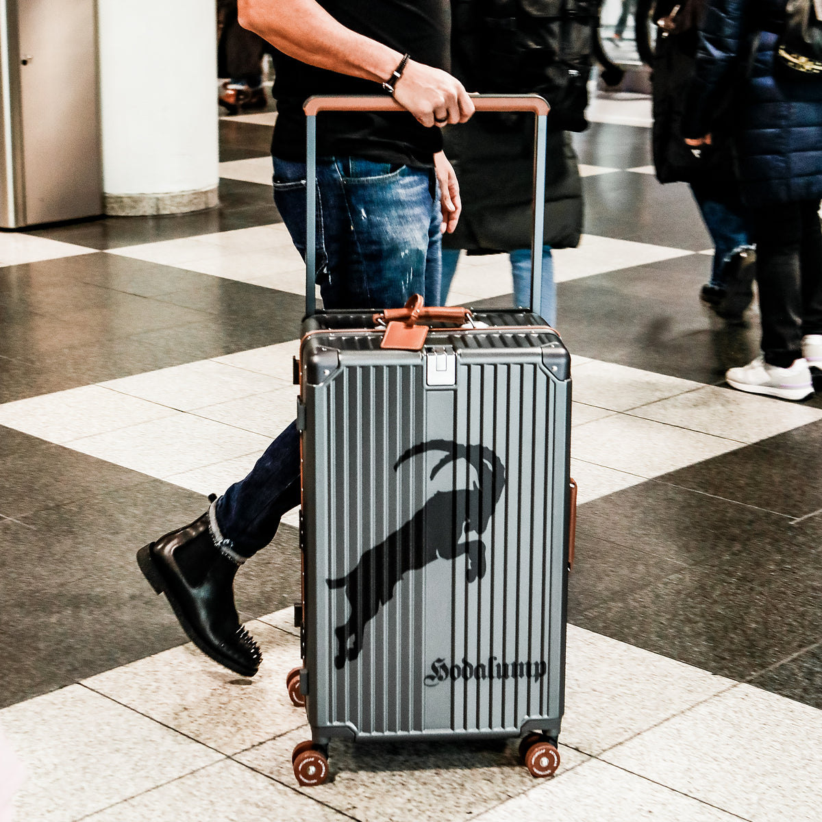 Hodalump Trolley Big Case, Ansicht 2
