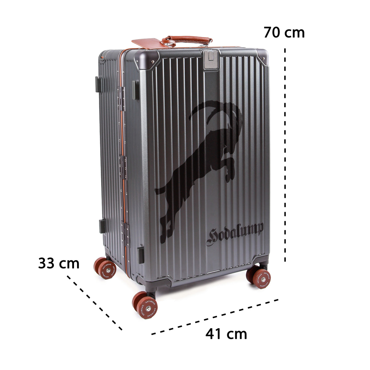 Hodalump Trolley Big Case, Ansicht 19